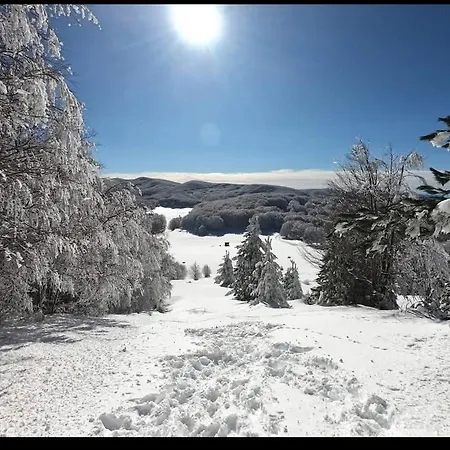 Agrifoglio Caprara (Crotone)