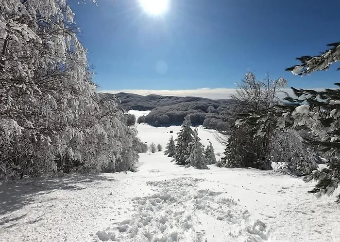 Agrifoglio Caprara (Crotone)